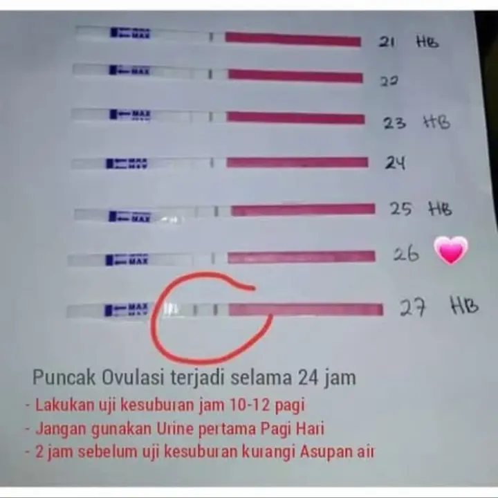 LH ovulation Test/Alat test masa subur wanita/test kesuburan 1