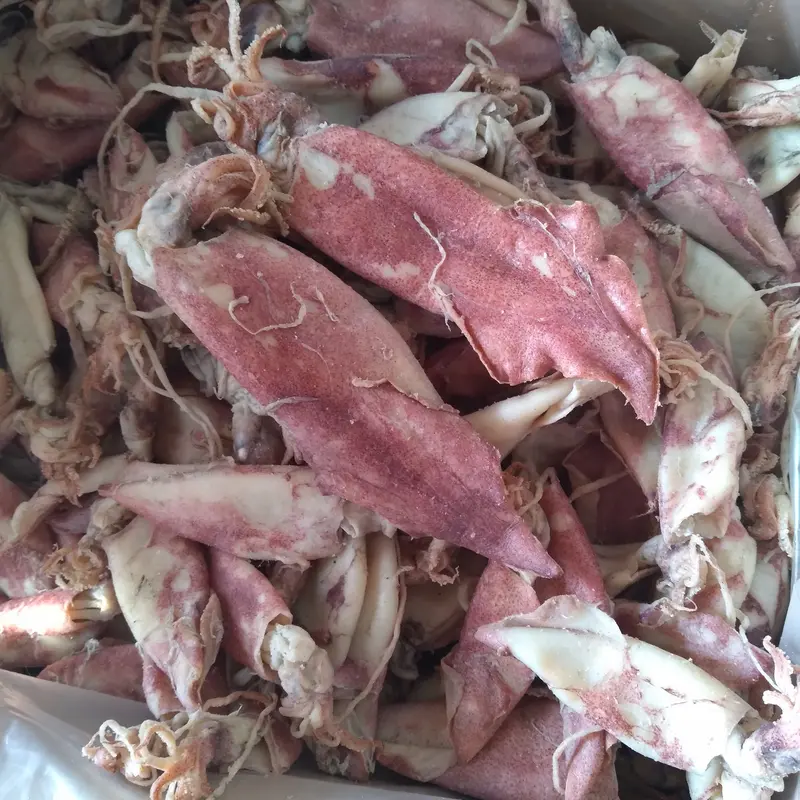 Termurah !!! Cumi Kering Asin Kualitas Super 1 kg 2