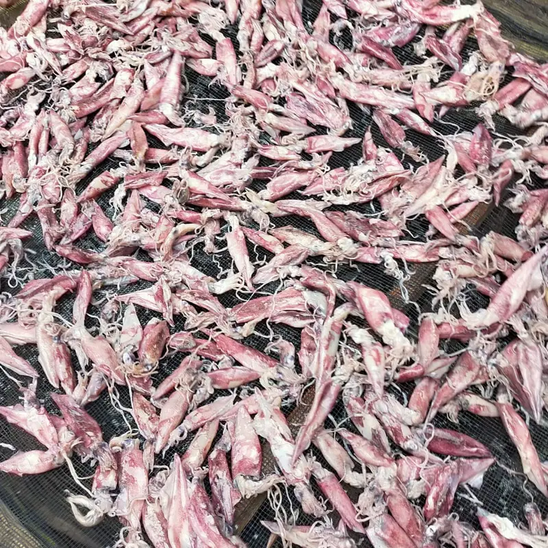 Termurah !!! Cumi Kering Asin Kualitas Super 1 kg 1