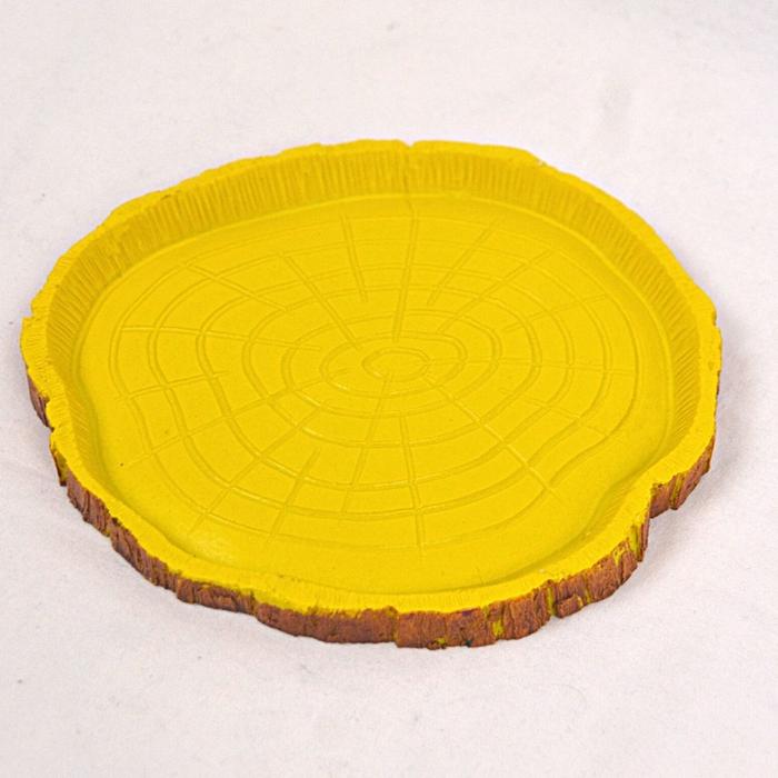 Gambar NOMOYPETREPTILE Tempat Makan Reptile Resin Dish - Ns38 dari Pet Republic Indonesia Kota Administrasi Jakarta Utara 5 Tokopedia