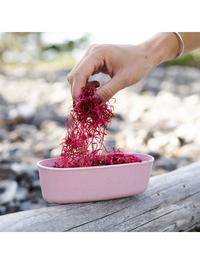 Gambar Kotak Makan Light My Fire SnapBox oval BIO 2 pack - Green Pink dari Kayak Outdoor Kota Bogor 2 Tokopedia