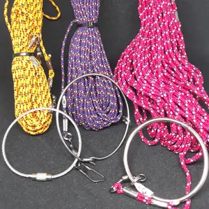 Tali latih burung kesayangan