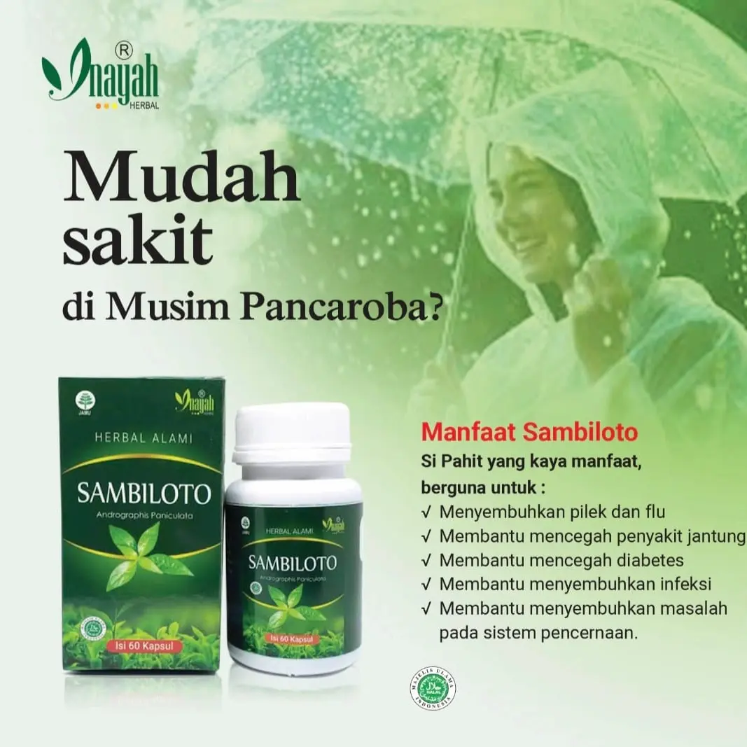 sambiloto kapsul Inayah