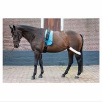 Gambar Harry's Horse Lunging System - Full dari BTS Tack Shop Kab. Tangerang 2 Tokopedia