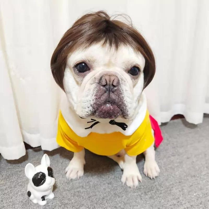 wig anjing dan wig kucing kostum rambut palsu hewan PET4052 3