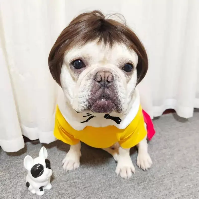 wig anjing dan wig kucing kostum rambut palsu hewan PET4052 2