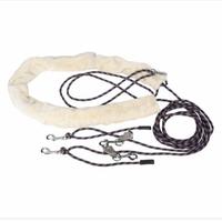 Gambar Harry's Horse Lunging System - Full dari BTS Tack Shop Kab. Tangerang 1 Tokopedia