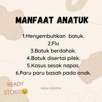 Gambar Jual Obat Batuk Herbal Anak Anatuk dari Pasar Semarang Group Kab. Klaten 2 Tokopedia