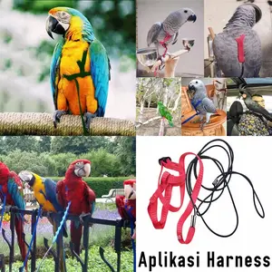 Harness Burung Parrot New R