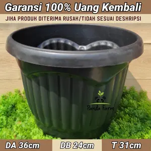 Pot Tanaman Besar Shallom Mio no 40 Hitam Tebal Berkualitas