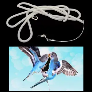 Tali Elastis untuk Handle Burung dan Training FF FTM Burung Parrot