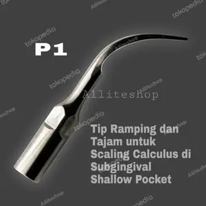 tip scaler satelec EMS woodpacker DTE