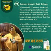 Gambar Obat Tetes Sinus - Obat Hidung Tersumbat - Obat Flu Menahun - Polip dari Ridwan Herbal_NEW Kota Tasikmalaya 4 Tokopedia
