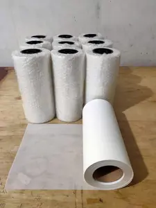 Pet Film DTF METERAN good quality ukuran 30cm x 1m