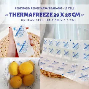 Thermafreeze Seperti Ice Pack Kotak