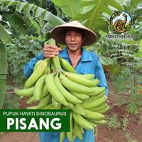 Gambar Pupuk Organik Dinosaurus untuk Sayur Buah Bunga 3 botol (750ml) dari Pupuk Dinosaurus Kota Administrasi Jakarta Pusat 5 Tokopedia