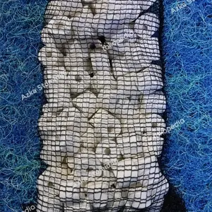 Bioring Bio Ceramic Ring 1kg 500gr Media Filter Aquarium Kolam