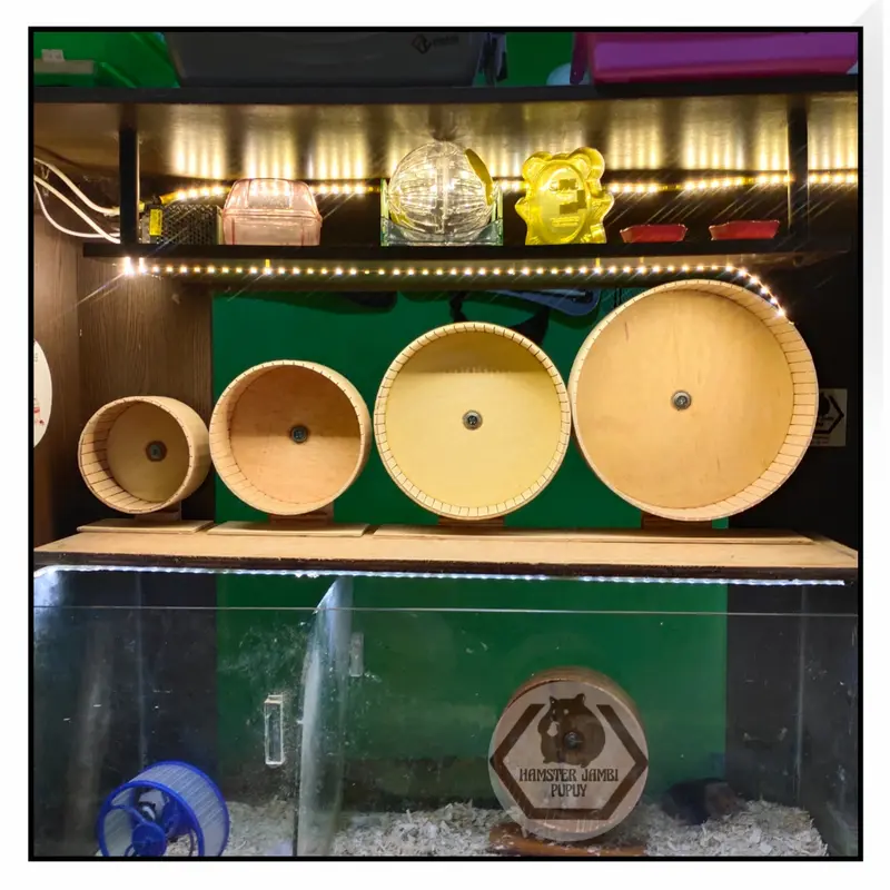 Kincir Hamster 15 cm | Wheel Hamster 1
