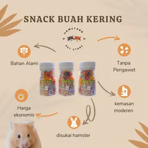 Dried Fruit Snack cemilan hamster buah kering