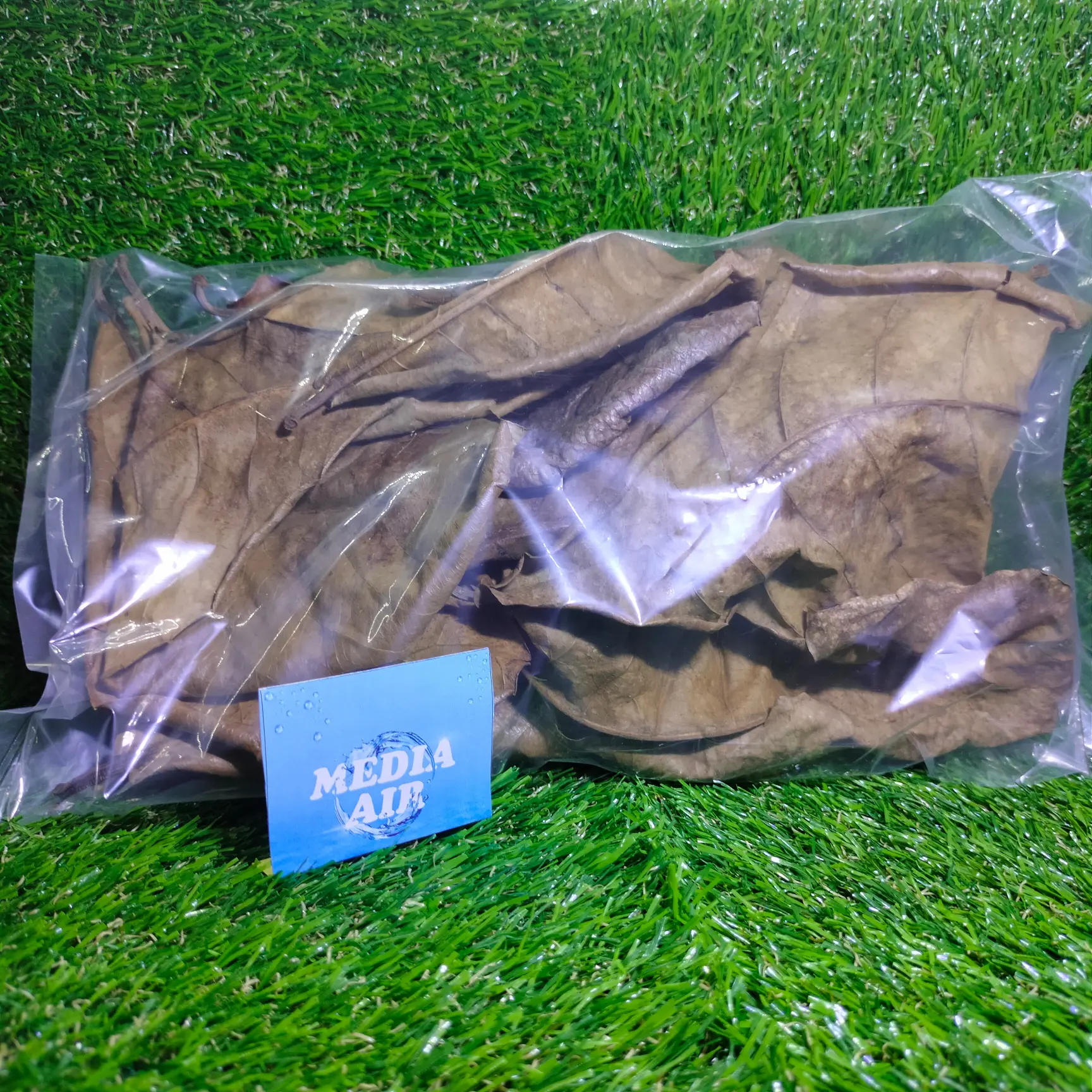daun Ketapang olahan siap pakai / daun Ketapang laut olahan