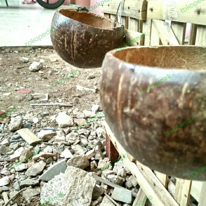 mangkok ayam batok kelapa