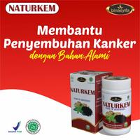 Gambar BINASYIFA Naturkem Mencegah Kanker 60 Kapsul BPOM dari Binasyifa La Ba'sa Kab. Bantul 2 Tokopedia