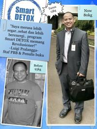 Gambar Paket Smart Detox Synergy Fullpack 20 hari | Pelangsing Cepat Aman dari NUANSA-SEHAT Kota Administrasi Jakarta Selatan 2 Tokopedia