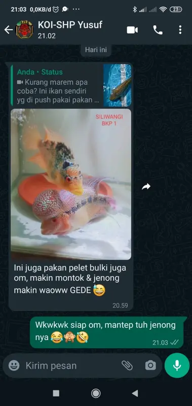 Pakan Pelet Makanan Ikan Koi Apung 1 Kg Bulkie Hi Growth 4