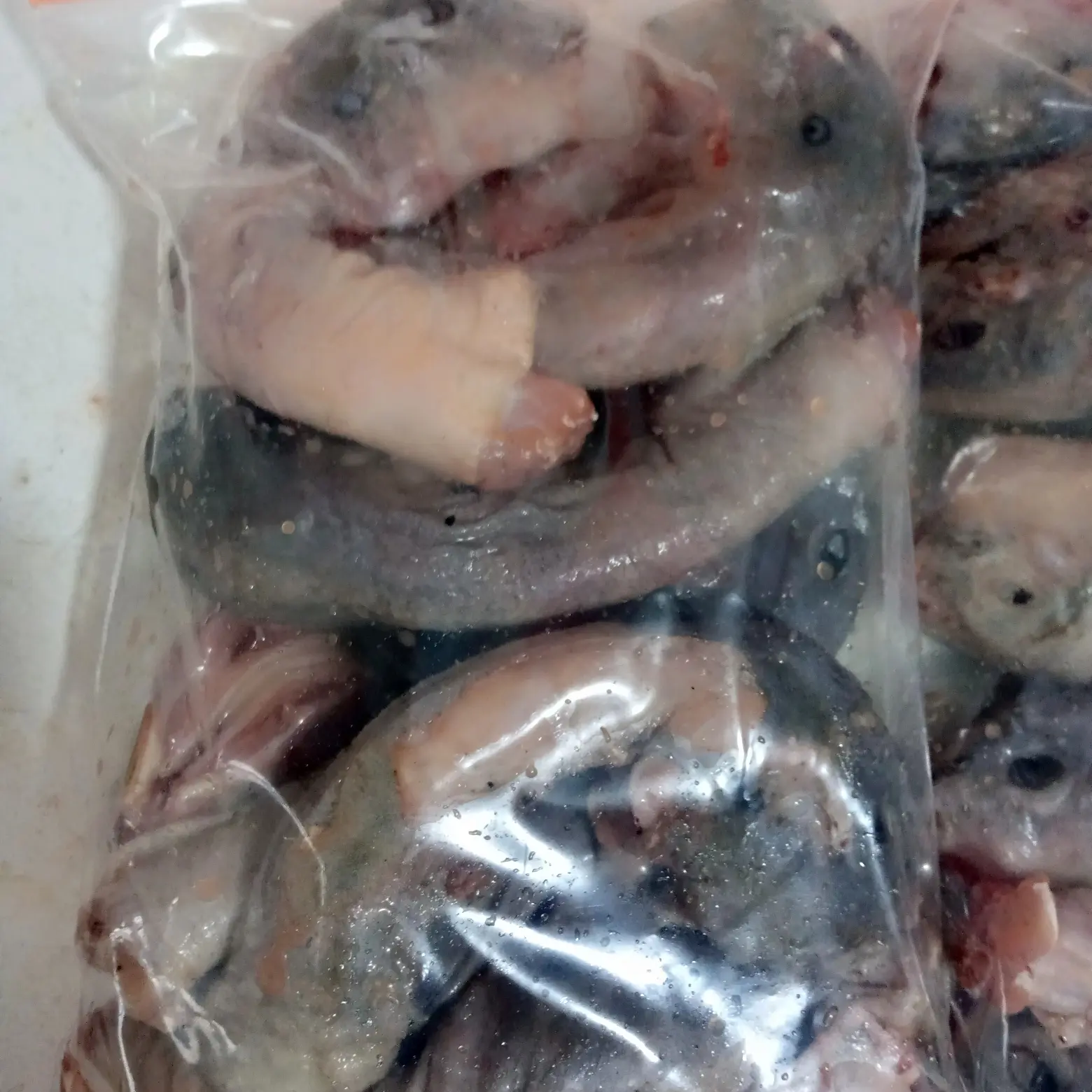 kepala bebek lokal murah banget