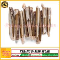 Gambar Kerang Bambu Lorjuk Segar 1kg- Kerang Bambu Fresh - Kerang Bambu Besar dari Gudang Salmon Jakarta Kota Administrasi Jakarta Utara 2 Tokopedia