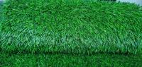 Gambar rumput sintetis swiss ukuran 25x25 Terlaris dan terbaik dari rumputsintetisss Kota Administrasi Jakarta Barat 3 Tokopedia