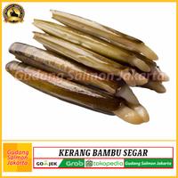 Gambar Kerang Bambu Lorjuk Segar 1kg- Kerang Bambu Fresh - Kerang Bambu Besar dari Gudang Salmon Jakarta Kota Administrasi Jakarta Utara 3 Tokopedia