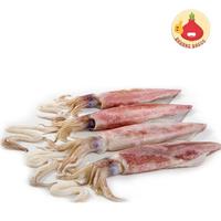 Gambar Cumi Segar/Ikan Cumi Segar - Bawangbagus dari BawangBagus Kota Tangerang 2 Tokopedia