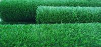 Gambar rumput sintetis swiss ukuran 50x50 terlaris dari rumputsintetisss Kota Administrasi Jakarta Barat 4 Tokopedia