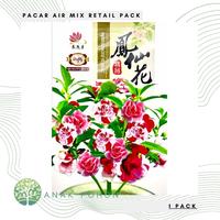 Gambar (1 PACK) Benih Bunga Pacar Air Mix Impatiens Balsamina Flower Seeds dari Anak Pohon Kab. Sleman 1 Tokopedia