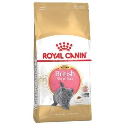 Gambar Royal Canin Kitten British Short Hair 2 kg - Makanan Kucing dari PUPA PET SHOP Kab. Bogor Tokopedia