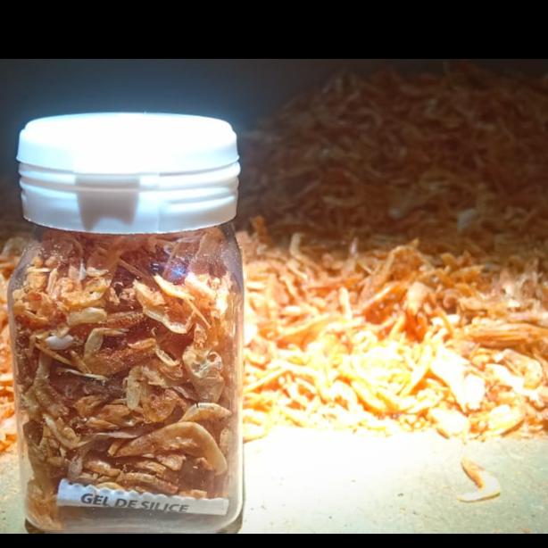 Gambar Udang Kering Pakan Ikan Channa Maru Yellow Sentarum Auranti Limbata dari Circularva Kota Banjarbaru Tokopedia