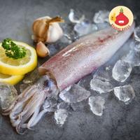 Gambar Cumi Segar/Ikan Cumi Segar - Bawangbagus dari BawangBagus Kota Tangerang 1 Tokopedia