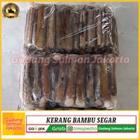 Gambar Kerang Bambu Lorjuk Segar 1kg- Kerang Bambu Fresh - Kerang Bambu Besar dari Gudang Salmon Jakarta Kota Administrasi Jakarta Utara 1 Tokopedia