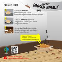 Gambar Maxbait Umpan Pembasmi Semut ampuh sampai sarang-10 gr dari Pestiziden Chemical Kota Tangerang 3 Tokopedia