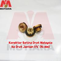 Gambar Reducer Konektor Sambungan Kuningan Drat Pompa Malaysia PB 16 ke 1/4" dari Toko Mutiara Teknik Kota Medan 1 Tokopedia