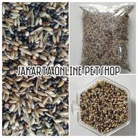 Gambar Expert Canaries Repack murni 1Kg witteMolen no prestige primus dari Jakarta Online Petshop Kota Administrasi Jakarta Selatan 2 Tokopedia