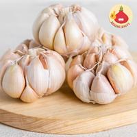 Gambar bawang putih curah dari BawangBagus Kota Tangerang 1 Tokopedia
