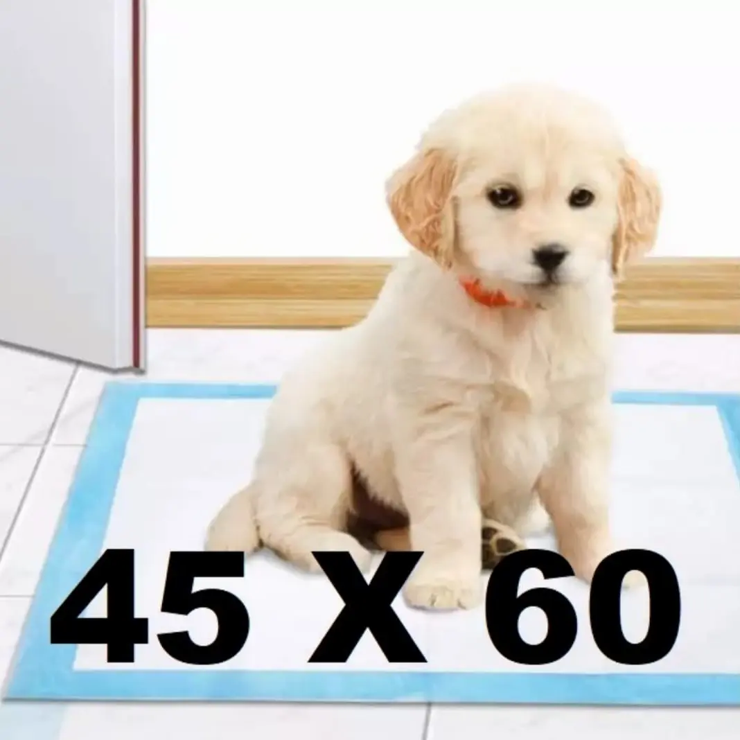 Underpad/Alas pipis untuk kucing atau anjing lembaran 45×60