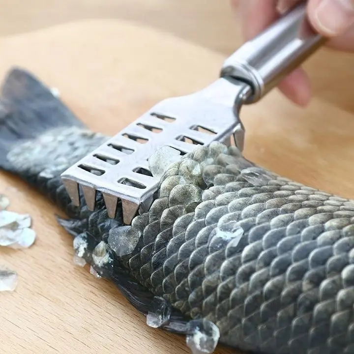 ALAT PEMBERSIH PENGUPAS SISIK IKAN PEMBUANG SISIK STAINLESS STEEL