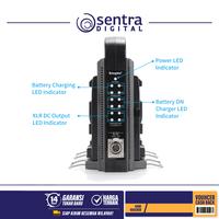 Gambar Kingma Quad Charger for V-Mount battery (BP-4CH) dari Sentra Digital Kota Surabaya 3 Tokopedia