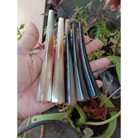 Gambar Pipa tanduk kerbau bule 12cm asli dari gyaros.craft Kab. Banyuwangi 4 Tokopedia