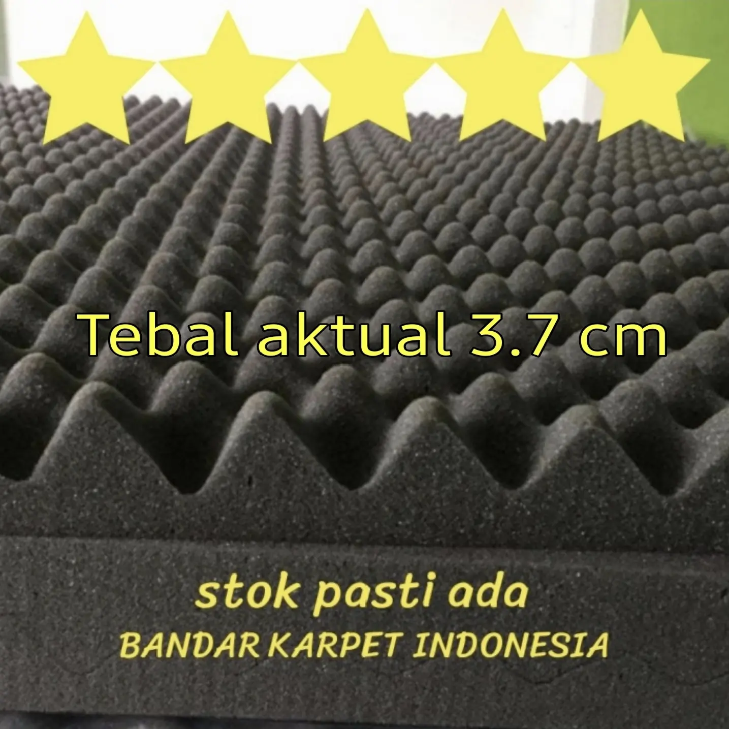 BUSA TELUR PEREDAM SUARA 100 x 200 x 4.5 cm