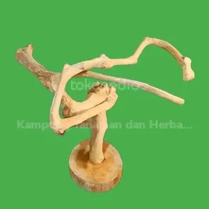 TANGKRINGAN BURUNG/KAYU KOPI BERCABANG