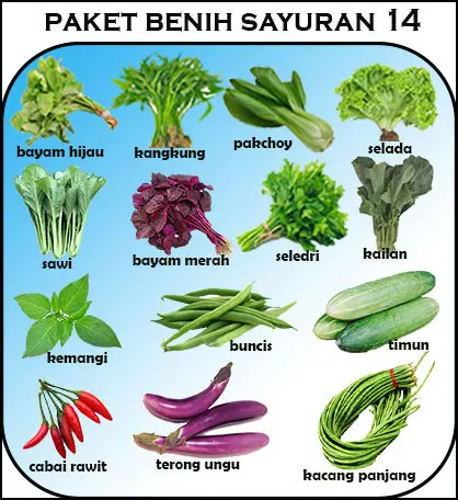 Paket Benih Sayuran 14 Macam free panduan untuk pemula dan pupuk